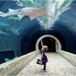 The Dallas World Aquarium
