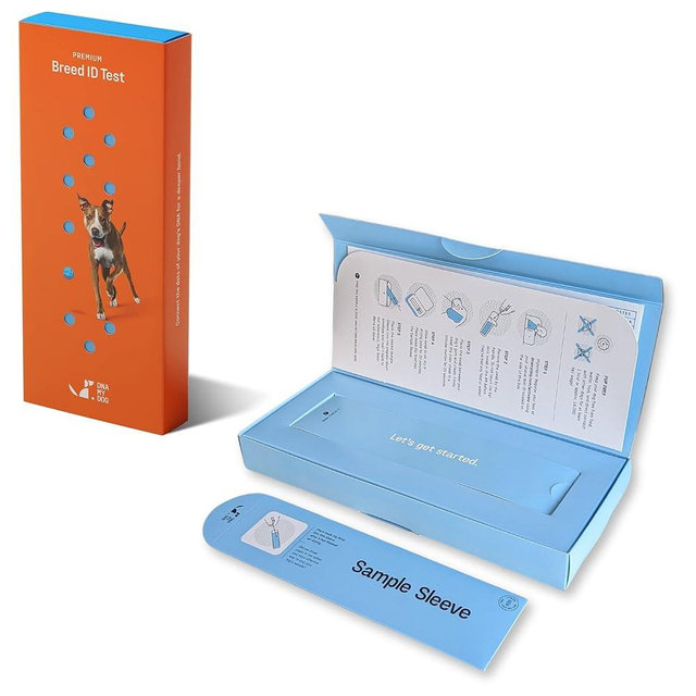 DNA MY DOG - Premium Test – Trusted & Affordable Breed Identification Test | 350+ Breeds Identified with 99%+ Accuracy | Plus Genetic Age Test, Wolf DNA and Breed Identification