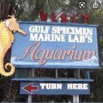 Gulf Specimen Aquarium