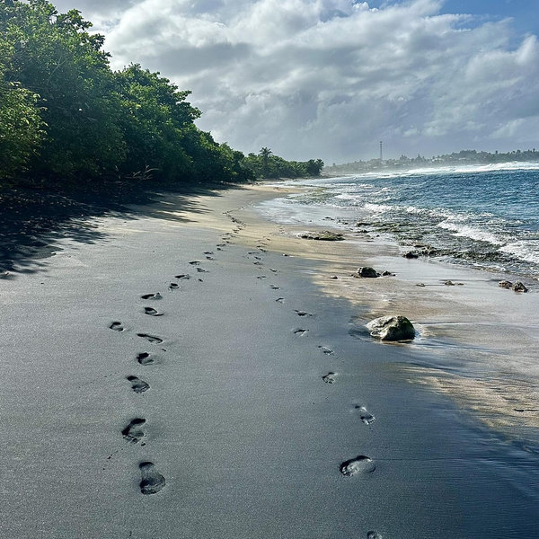 "Forget the blender—send us on an adventure! From wedding bells to sandy shores.