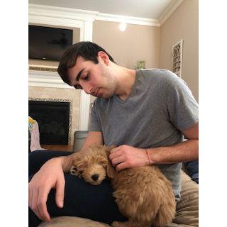 Mr Chewster