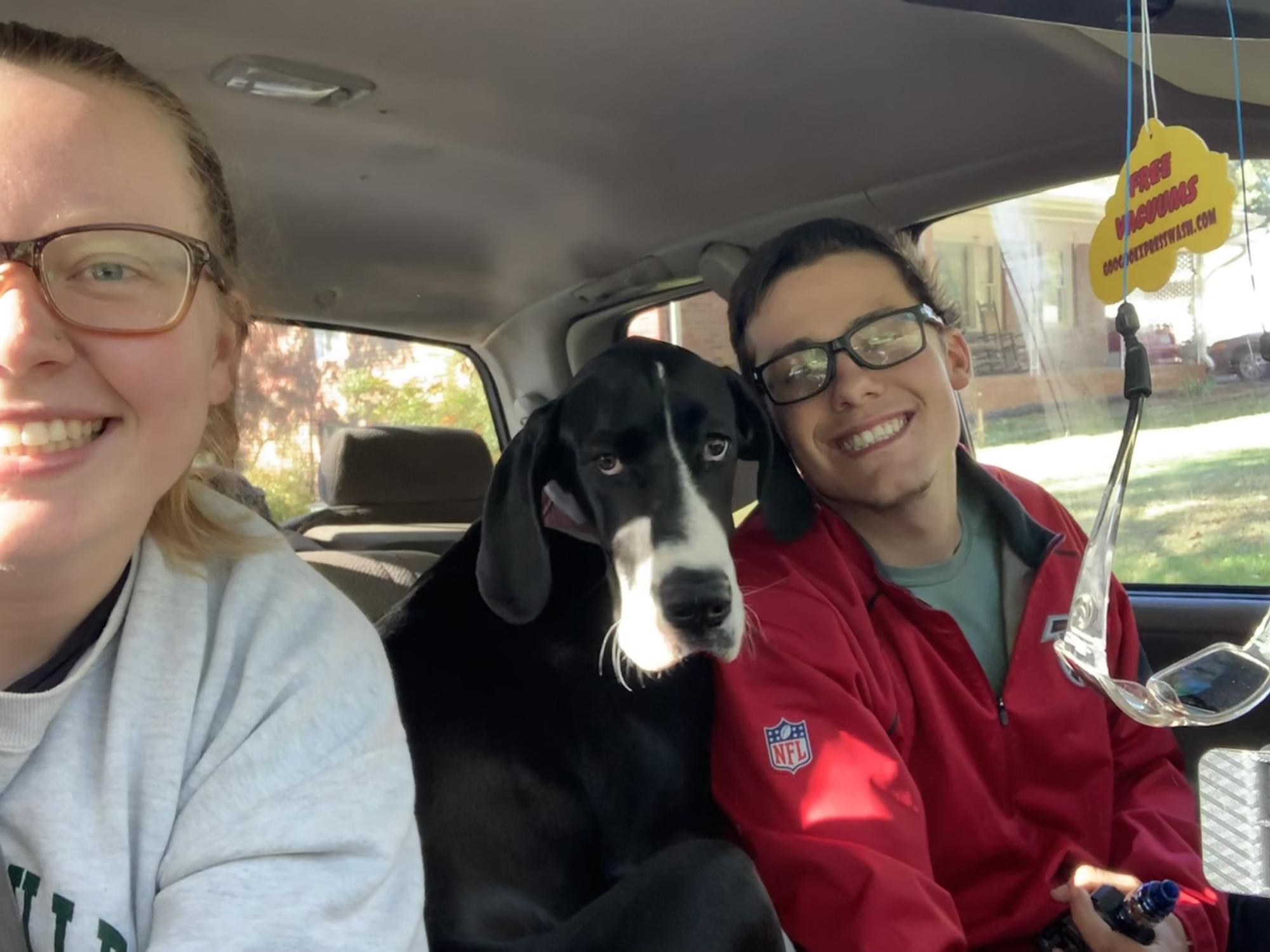 2019 / got our phoebe girl