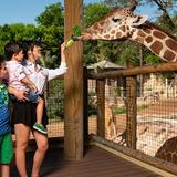 San Antonio Zoo