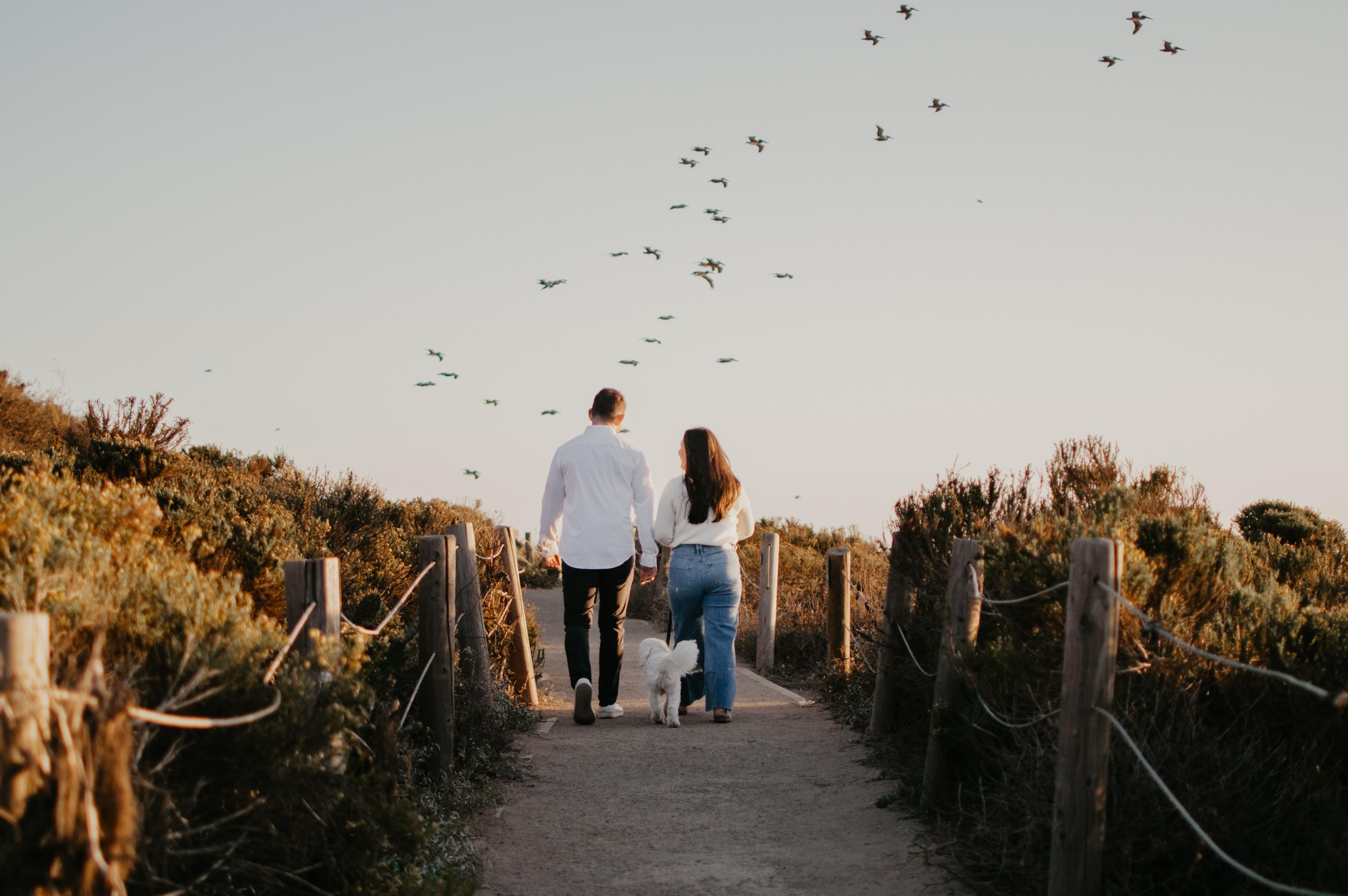 The Wedding Website of Lauren Zelman and Josh Schneider