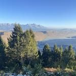 Hike - Snow King Mountain