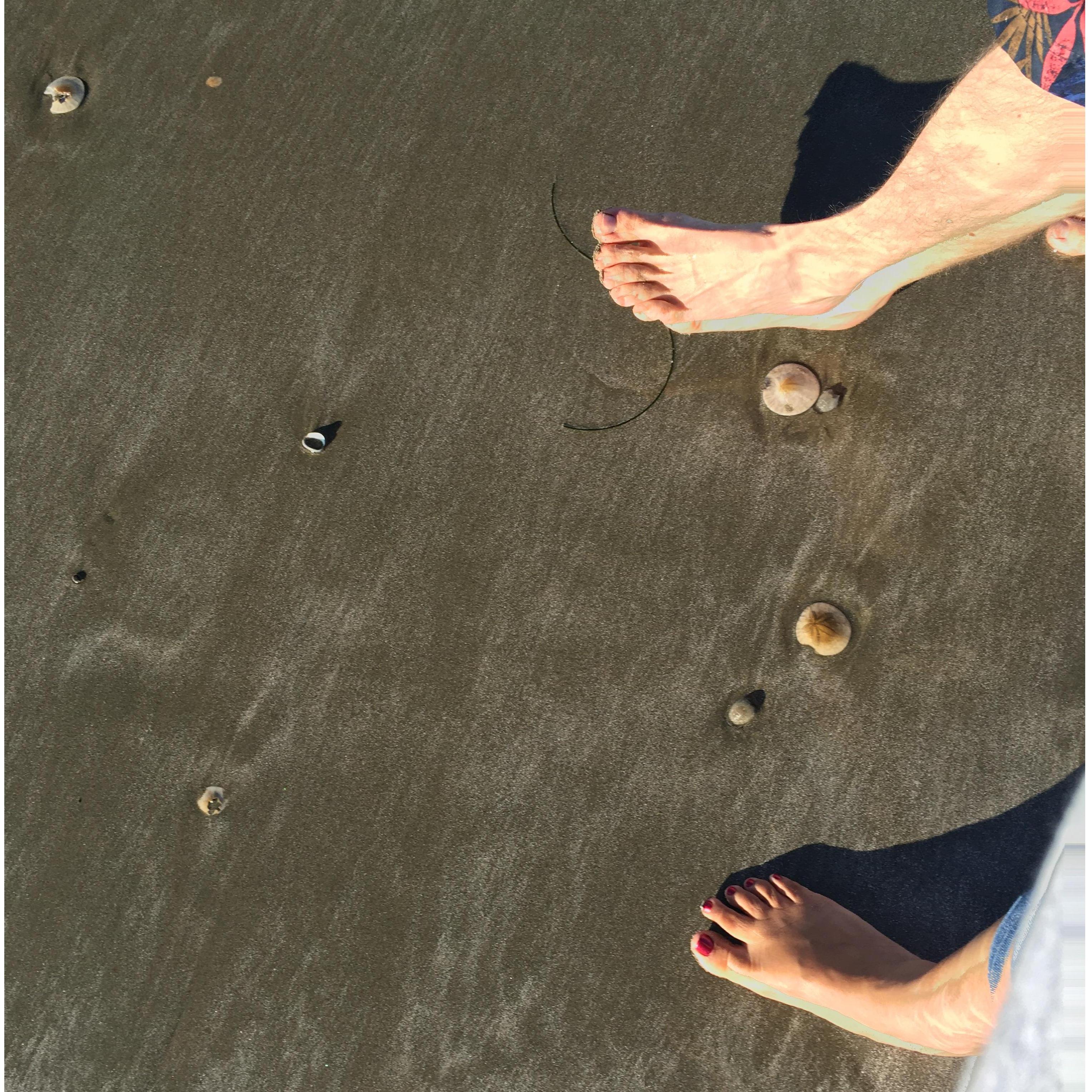 While a stroll on the beach is an everyday occurrence for Jim, Laurie enjoys them when she visits and loves to pick up sand dollars! She's even collected a bit of "home" for Jim in Oakland!