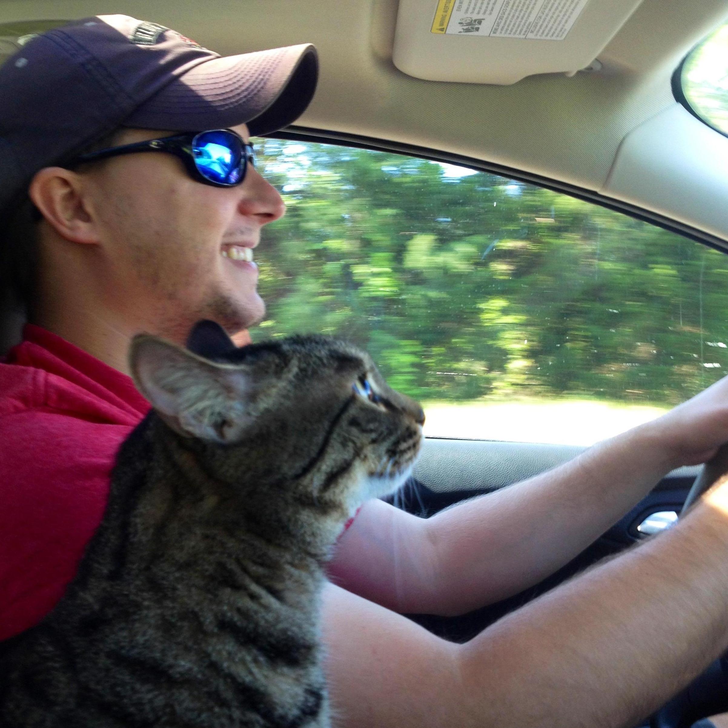 Moving across the country to California...with Kitty.