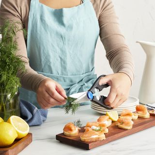 Kitchen Shears