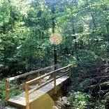 Lake Catherine State Park - Falls Branch Trail