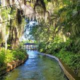 Winter Park- Scenic Boat Tour
