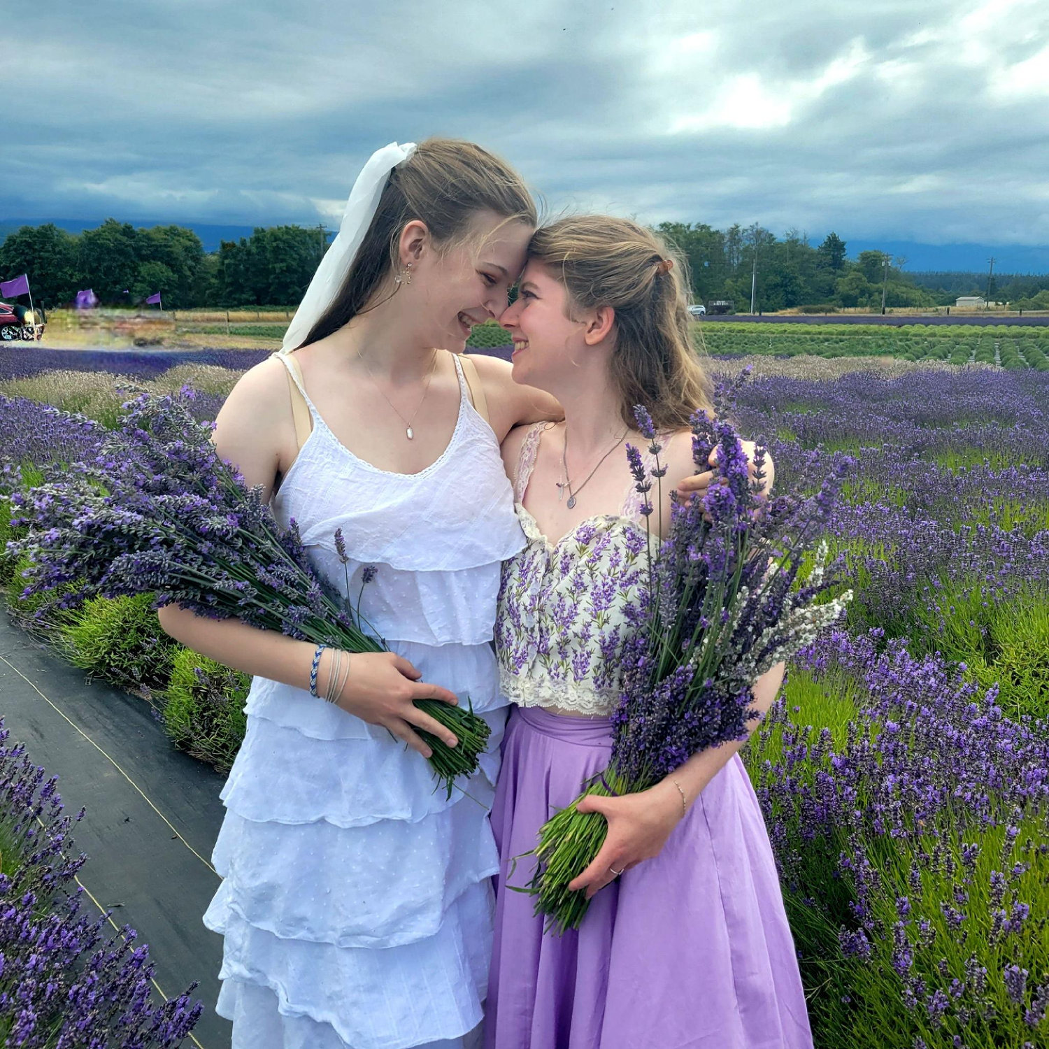 Sequim lavender farms!