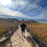 Marina Dunes Preserve