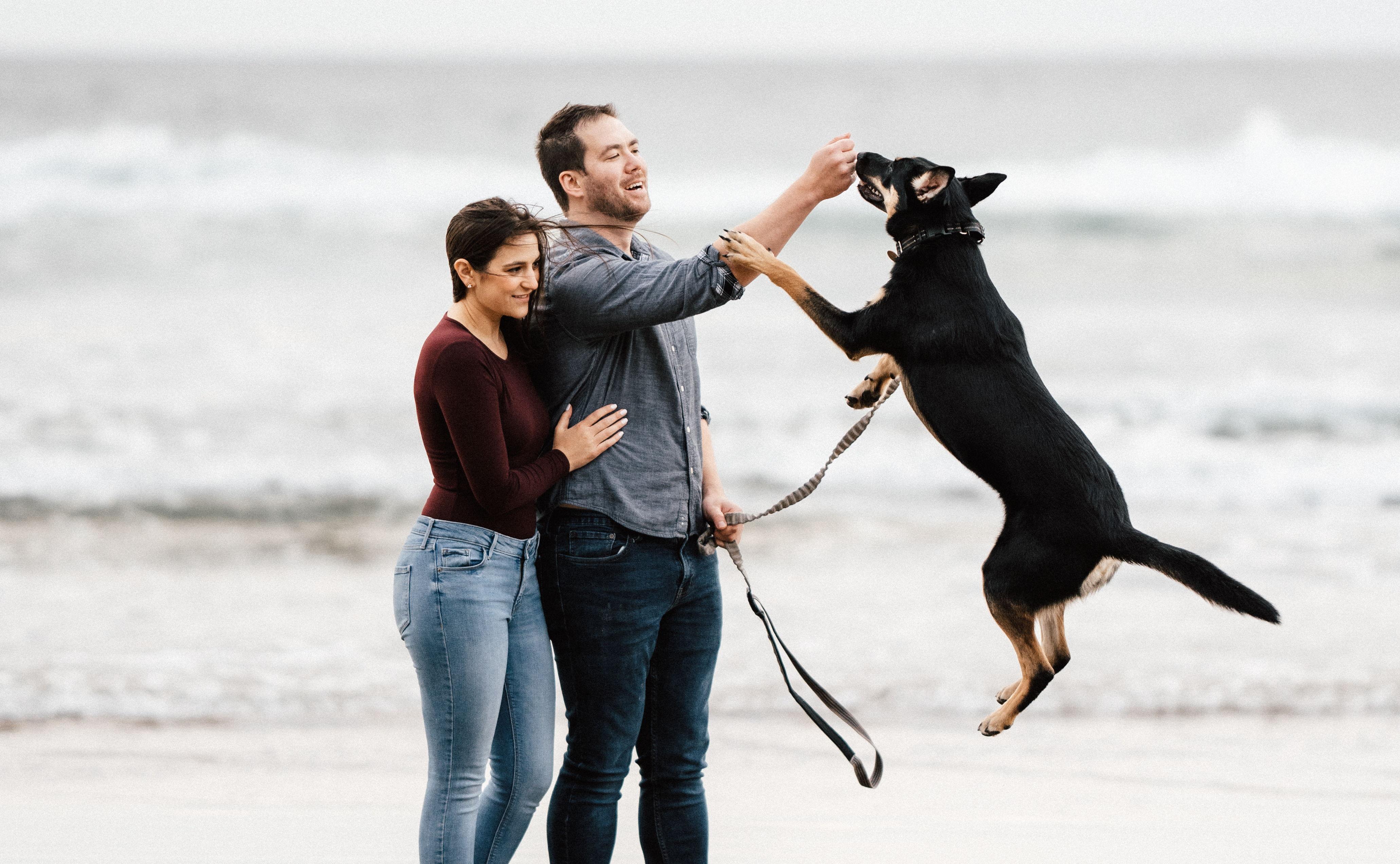 The Wedding Website of Mackie Donaldson and Tyler Johnson