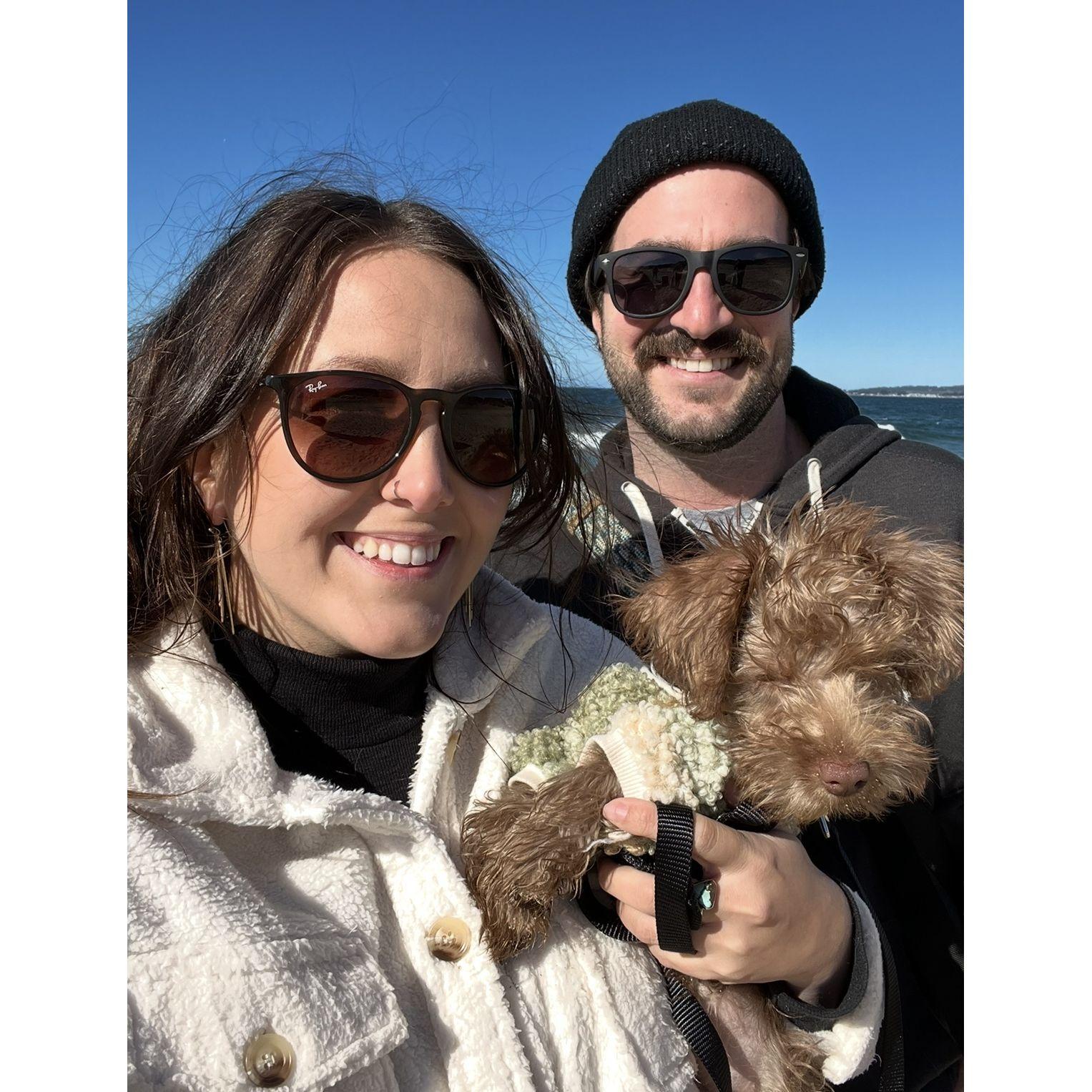 Something special happened in 2022!! We brought our girl Gemma home! This was her first trip with us in Half Moon Bay!