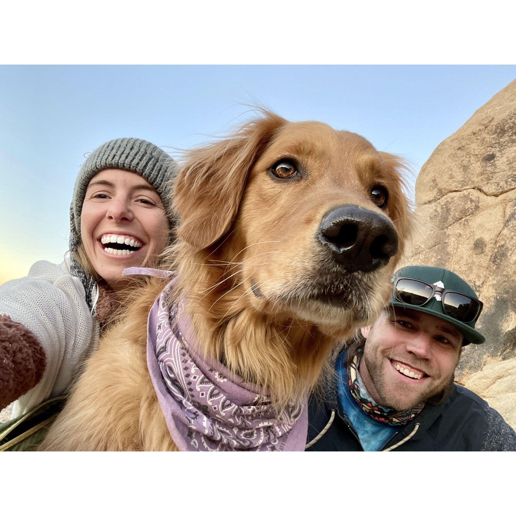 Camping trip with Berk in Joshua Tree
[December 2020]