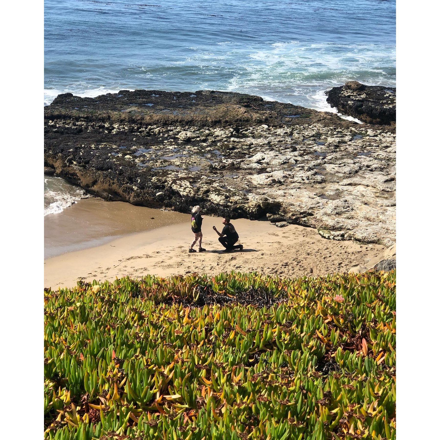 Goth Beach Proposal in Santa Cruz