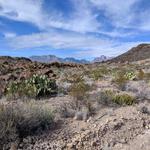 Big Bend National Park