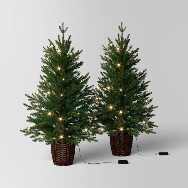 2pc 3' Pre-Lit Potted Balsam Fir Artificial Christmas Trees Warm LED White Lights - Wondershop™