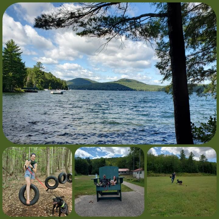 The Wedding Website of Alaina Kenney and John LaRochelle