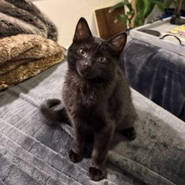 Zoey's college fund