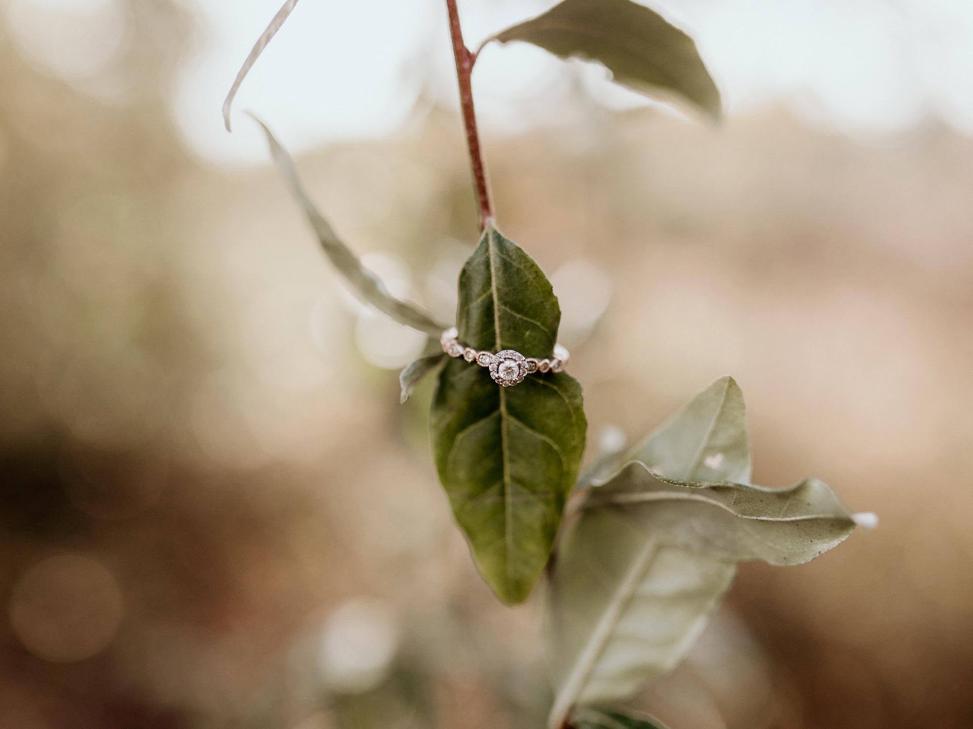 The Wedding Website of Reagon Dailey and Cody Baldwin
