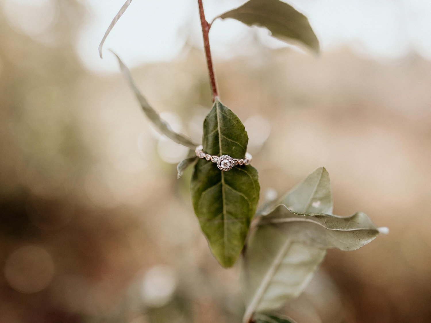 The Wedding Website of Reagon Dailey and Cody Baldwin