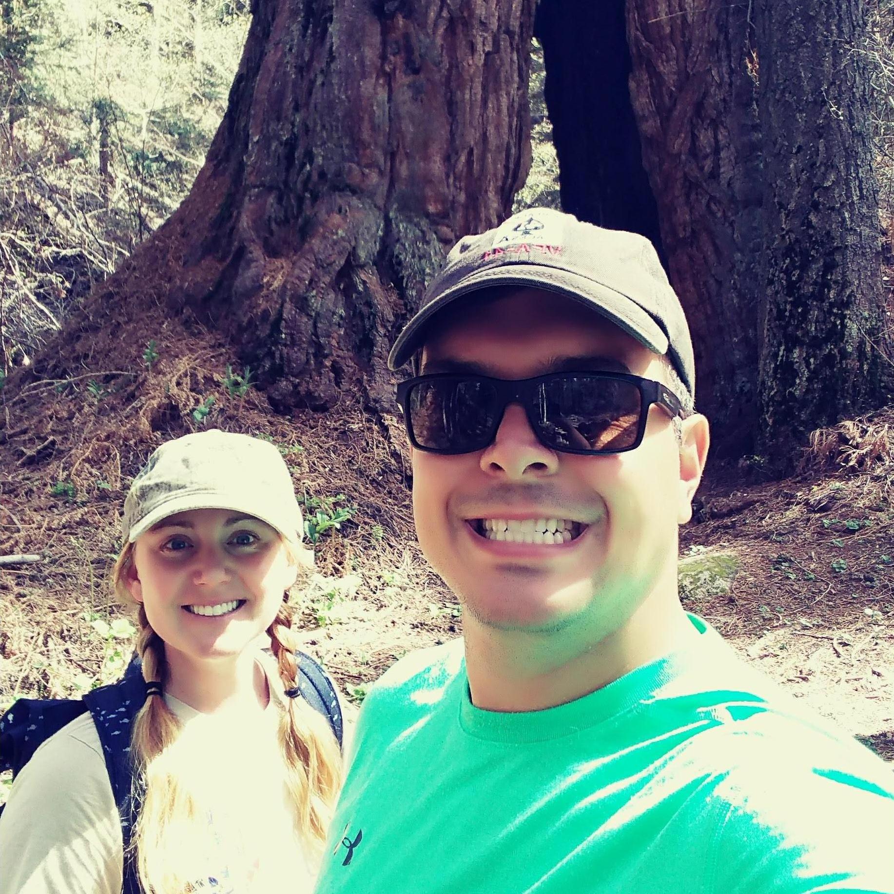 Hiking in the Sequoias