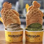 SOMISOMI