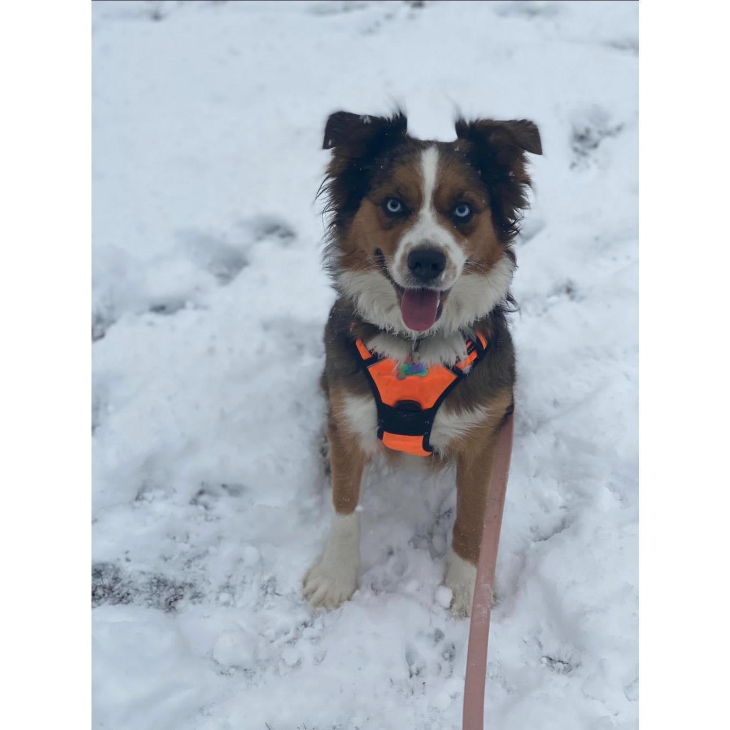 Oakley