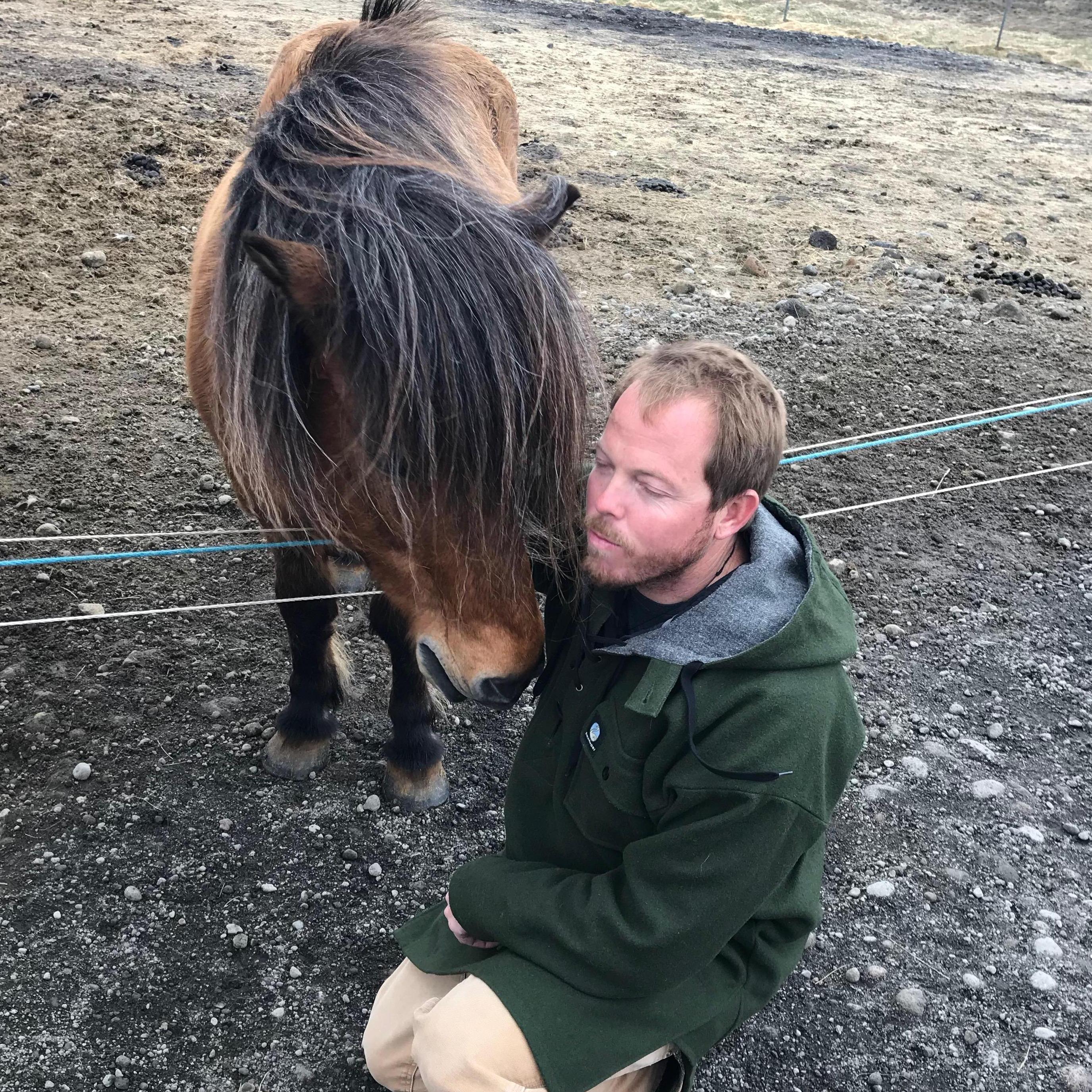 We befriended many Icelandic ponies!