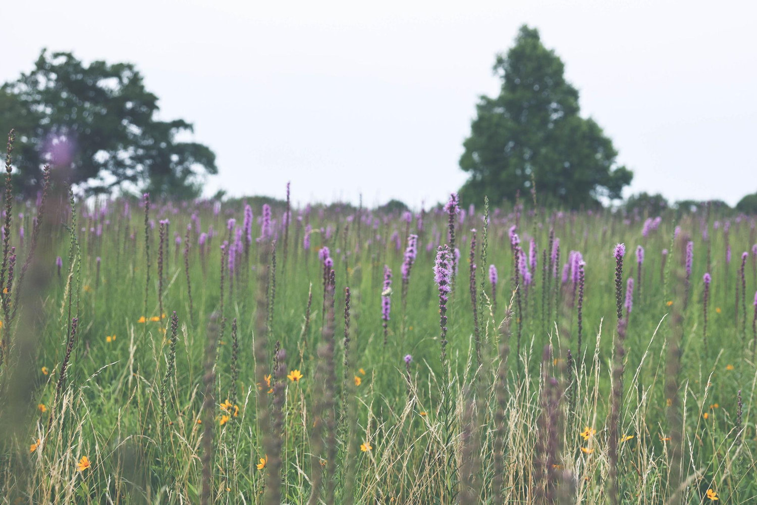 The Wedding Website of Anna Wagoner and Dillion Casstevens