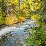 McKenzie River Trailhead