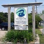 Cape Cod Museum Of Natural History
