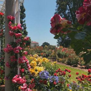 Huntington Gardens Annual Membership