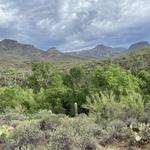 Best Trails in Cave Creek