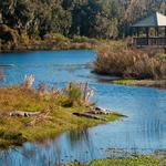 La Chua Trail