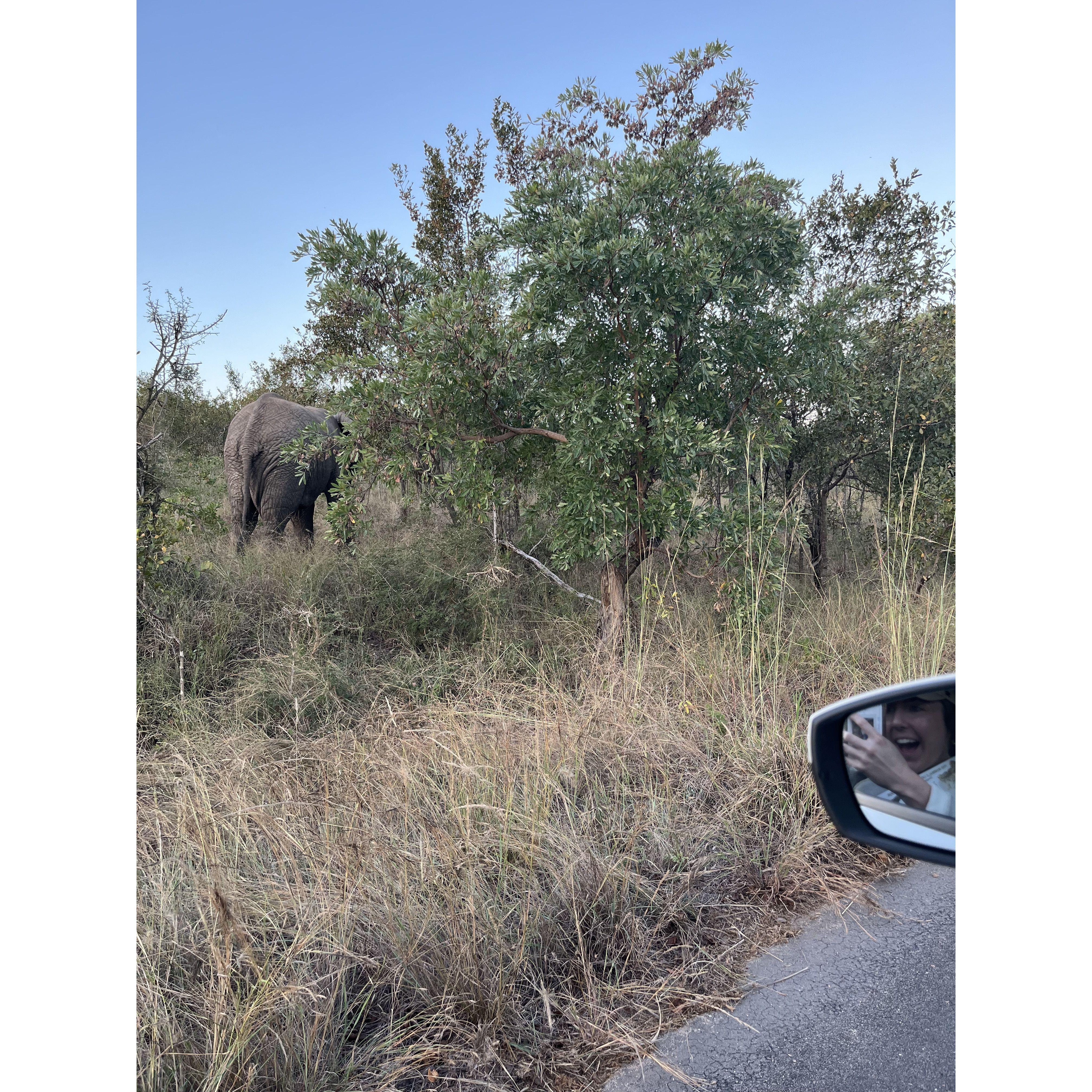 View from car window (car mirror for reference) - Kruger National Park, May 2024