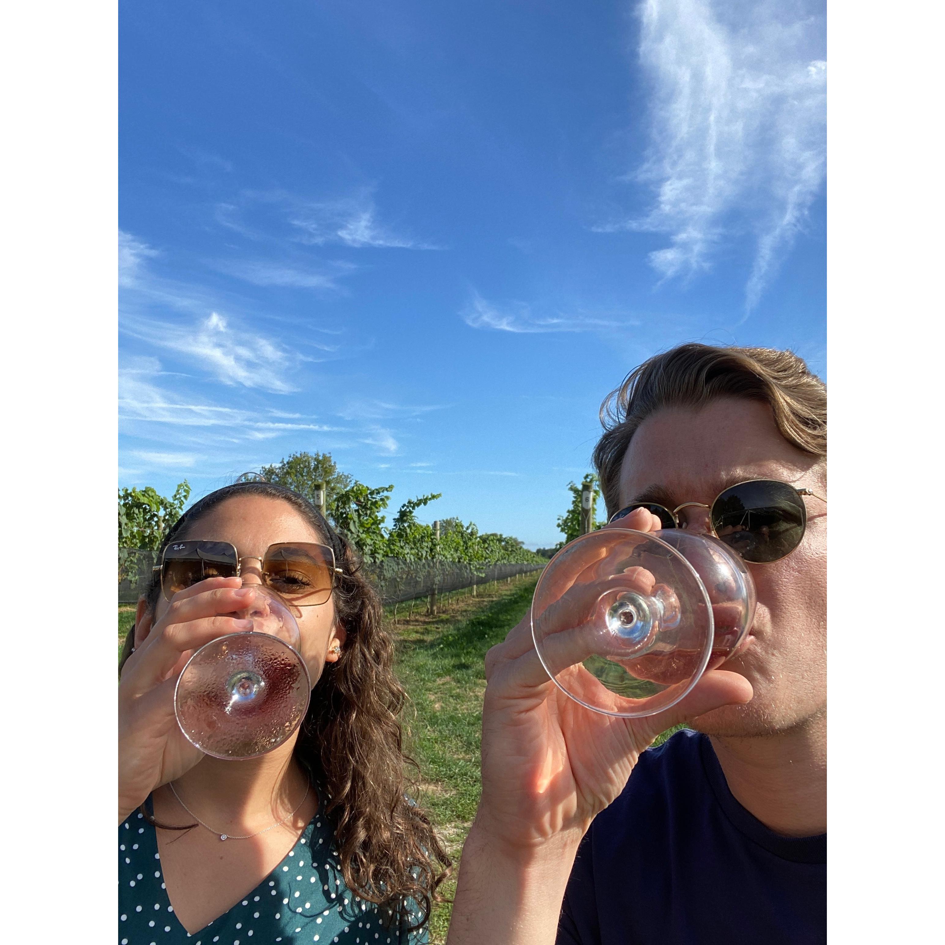 wine tasting