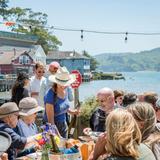 Hog Island Oyster Co.