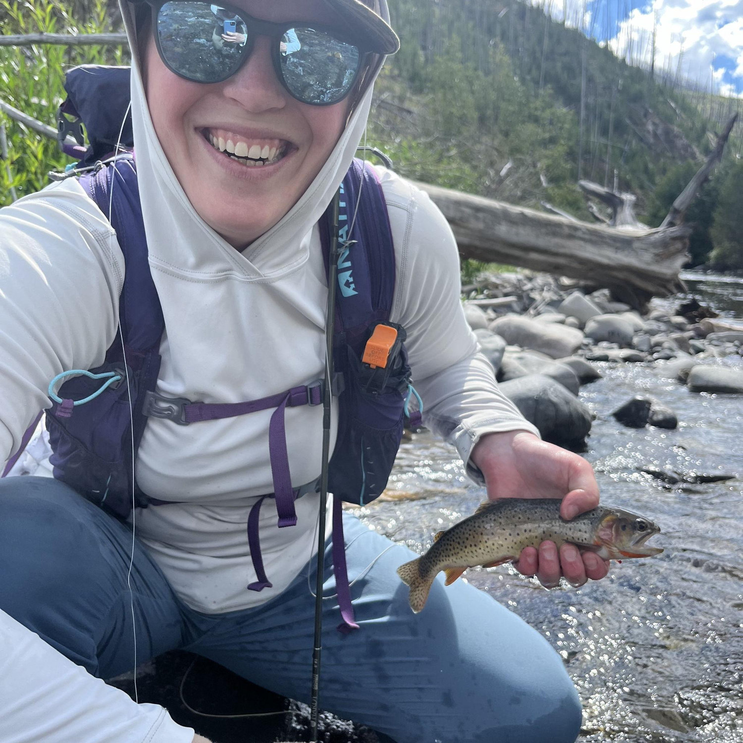 Tiny stream fish