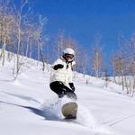 Skiing + Snowboarding