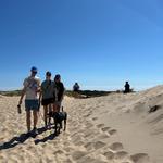 Dune Shacks Trail