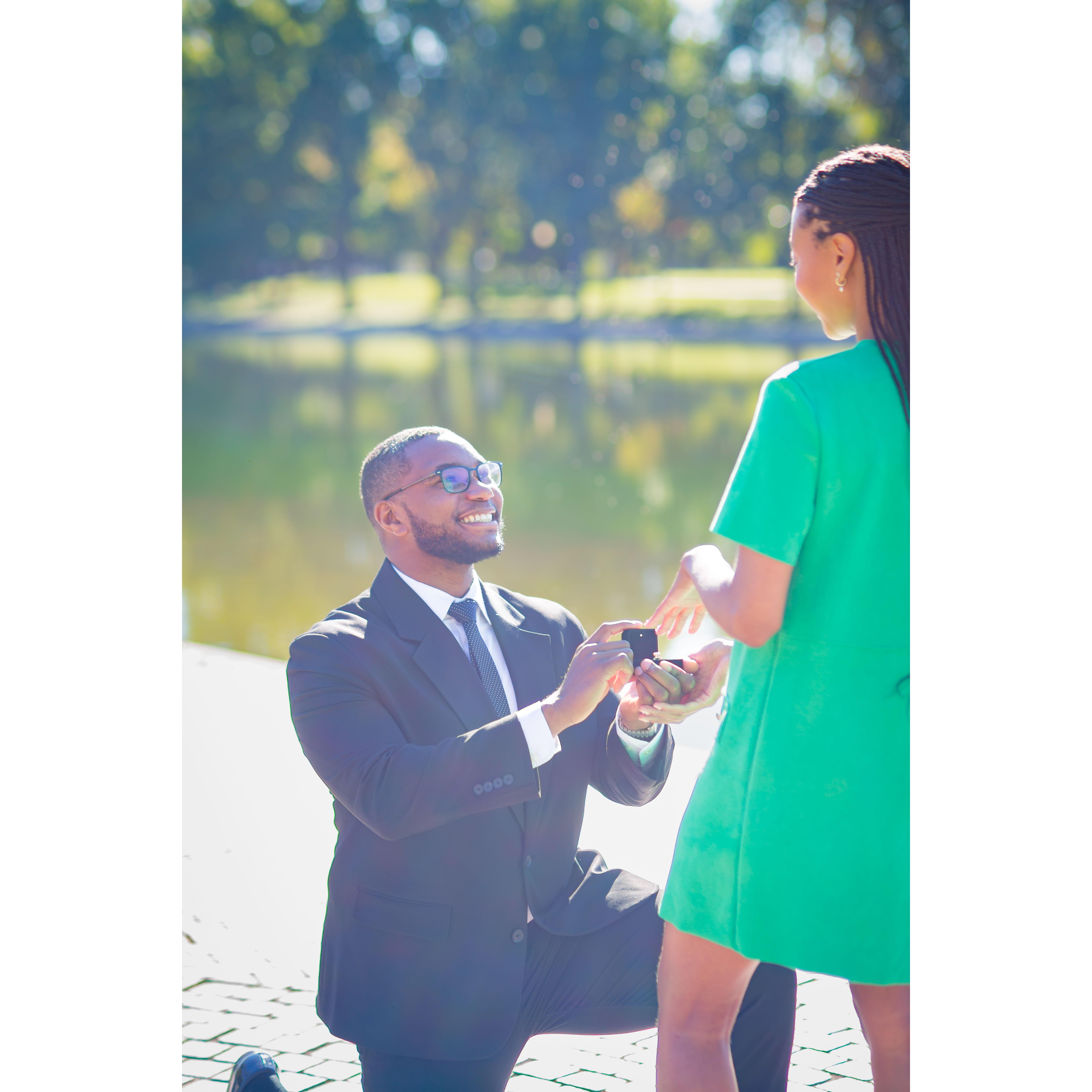 Engagement photos by the incredible Royal Perceptions Studios