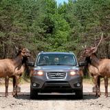 Omega Park