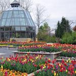 The Arboretum at Penn State