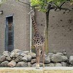 Roger Williams Park Zoo