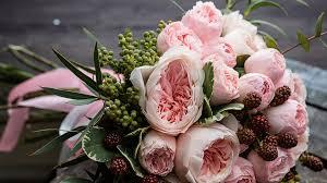 The Wedding Website of Suzy Paul and Dan Lazzaro