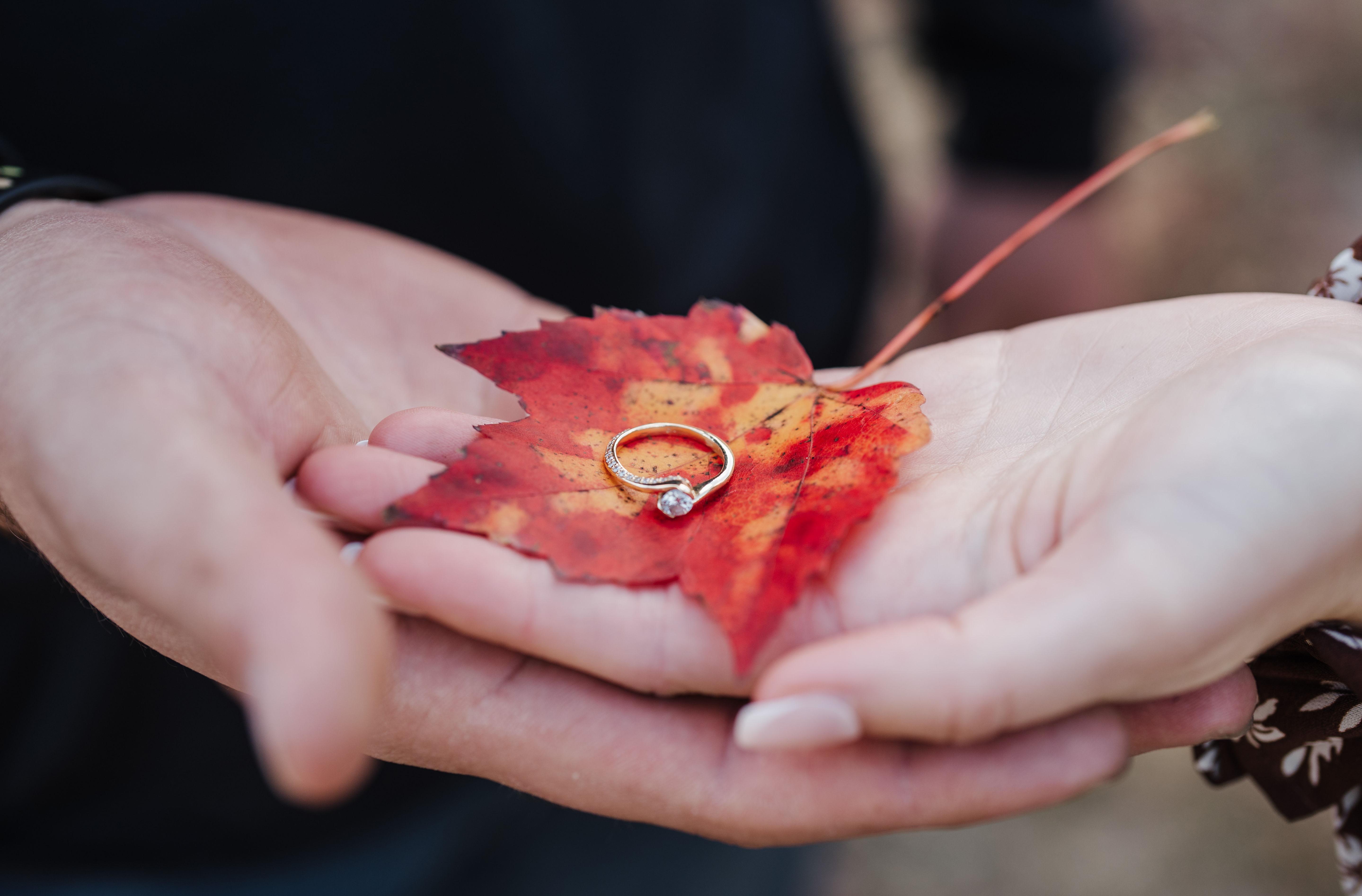 The Wedding Website of Korrin Pease and Grant Fry