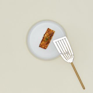 Simple Metal Fish Spatula