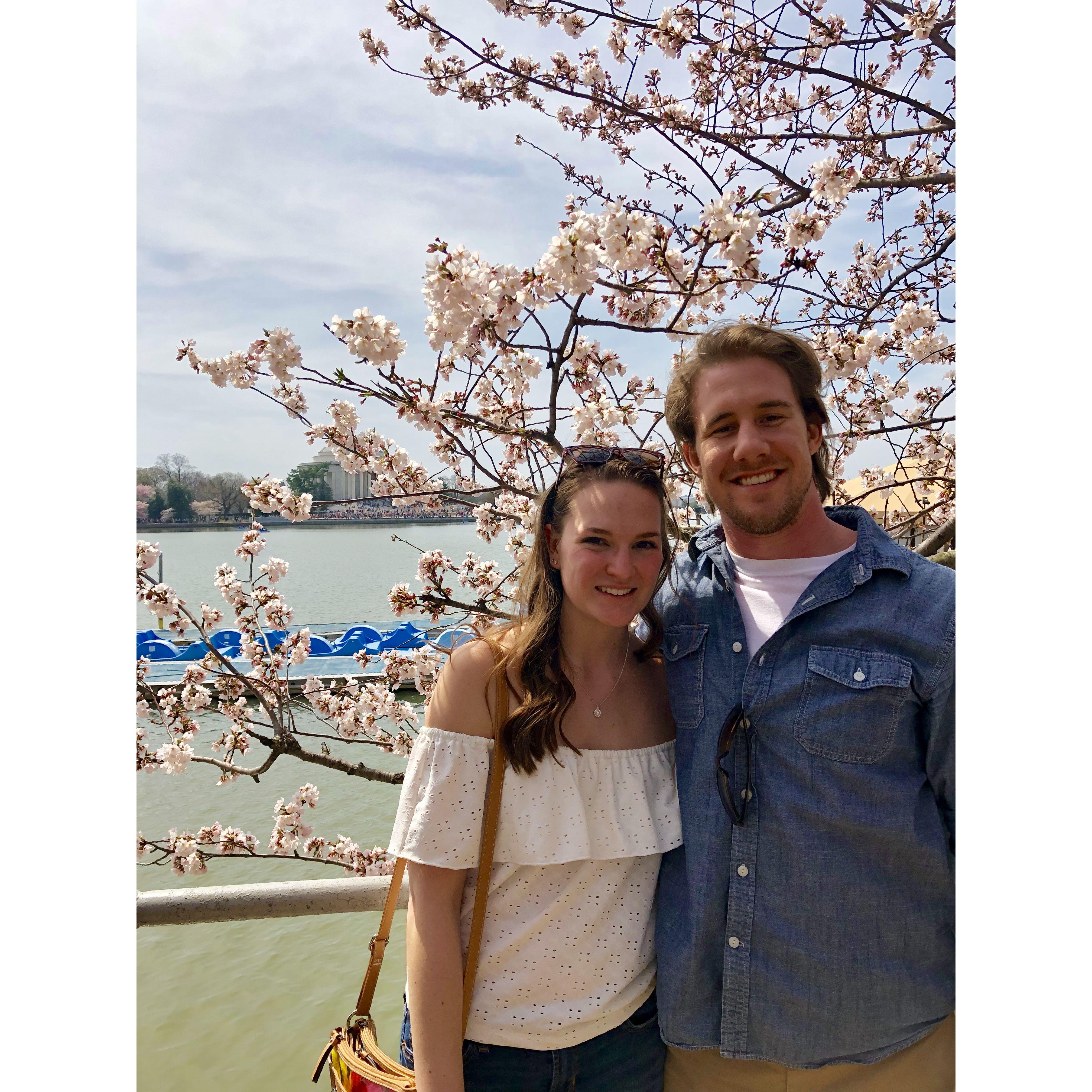 Washington D.C. Cherry Blossom Festival